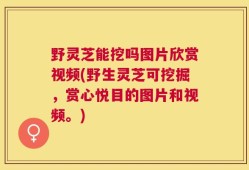 野灵芝能挖吗图片欣赏视频(野生灵芝可挖掘，赏心悦目的图片和视频。)