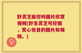 野灵芝能挖吗图片欣赏视频(野生灵芝可挖掘，赏心悦目的图片和视频。)