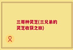 三哥种灵芝(三兄弟的灵芝收获之旅)