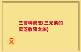三哥种灵芝(三兄弟的灵芝收获之旅)