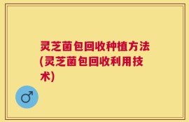 灵芝菌包回收种植方法(灵芝菌包回收利用技术)