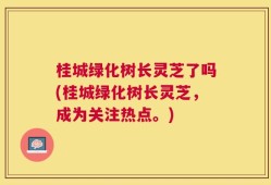 桂城绿化树长灵芝了吗(桂城绿化树长灵芝，成为关注热点。)