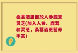 桑葚酒里面放人参鹿茸灵芝(加入人参、鹿茸和灵芝，桑葚酒更营养丰富)