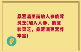 桑葚酒里面放人参鹿茸灵芝(加入人参、鹿茸和灵芝，桑葚酒更营养丰富)