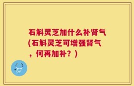 石斛灵芝加什么补肾气(石斛灵芝可增强肾气，何再加补？)