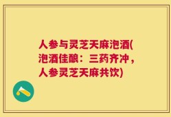 人参与灵芝天麻泡酒(泡酒佳酿：三药齐冲，人参灵芝天麻共饮)