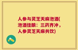 人参与灵芝天麻泡酒(泡酒佳酿：三药齐冲，人参灵芝天麻共饮)