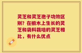 灵芝和灵芝孢子功效区别？在椴木上生长的灵芝和袋料栽培的灵芝相比，有什么优点