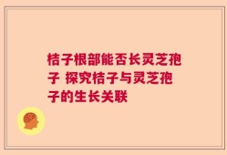 桔子根部能否长灵芝孢子 探究桔子与灵芝孢子的生长关联