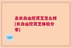 去长白山挖灵芝怎么样(长白山挖灵芝体验分享)