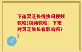 下雨灵芝长得快吗视频教程(视频教程：下雨对灵芝生长有影响吗？)