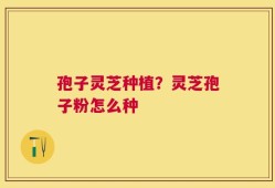 孢子灵芝种植？灵芝孢子粉怎么种