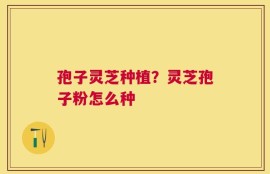 孢子灵芝种植？灵芝孢子粉怎么种