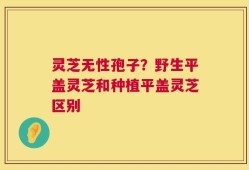 灵芝无性孢子？野生平盖灵芝和种植平盖灵芝区别
