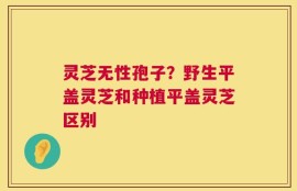 灵芝无性孢子？野生平盖灵芝和种植平盖灵芝区别