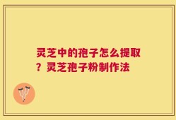 灵芝中的孢子怎么提取？灵芝孢子粉制作法