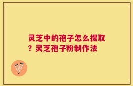 灵芝中的孢子怎么提取？灵芝孢子粉制作法