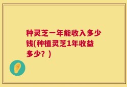 种灵芝一年能收入多少钱(种植灵芝1年收益多少？)