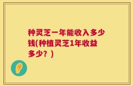 种灵芝一年能收入多少钱(种植灵芝1年收益多少？)