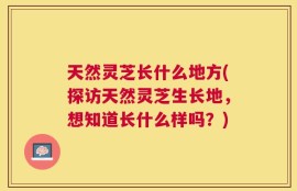 天然灵芝长什么地方(探访天然灵芝生长地，想知道长什么样吗？)