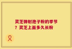 灵芝弹射孢子粉的季节？灵芝上面多久长粉