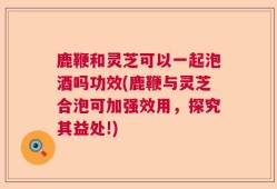 鹿鞭和灵芝可以一起泡酒吗功效(鹿鞭与灵芝合泡可加强效用，探究其益处!)