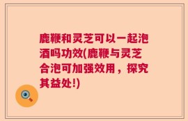鹿鞭和灵芝可以一起泡酒吗功效(鹿鞭与灵芝合泡可加强效用，探究其益处!)