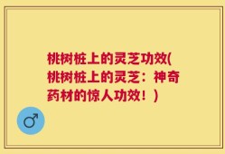 桃树桩上的灵芝功效(桃树桩上的灵芝：神奇药材的惊人功效！)
