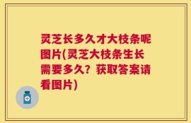 灵芝长多久才大枝条呢图片(灵芝大枝条生长需要多久？获取答案请看图片)