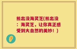 熊出没海灵芝(熊出没：海灵芝，让你真正感受到大自然的美妙！)