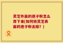 灵芝外面的孢子粉怎么弄下来(如何将灵芝表面的孢子粉去除？)