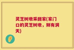 灵芝树墩采回家(家门口的灵芝树墩，别有洞天)