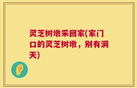 灵芝树墩采回家(家门口的灵芝树墩，别有洞天)