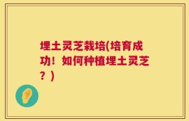 埋土灵芝栽培(培育成功！如何种植埋土灵芝？)
