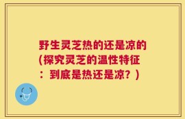 野生灵芝热的还是凉的(探究灵芝的温性特征：到底是热还是凉？)