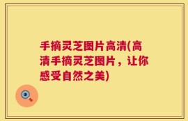 手摘灵芝图片高清(高清手摘灵芝图片，让你感受自然之美)