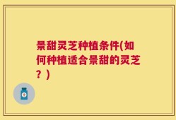 景甜灵芝种植条件(如何种植适合景甜的灵芝？)
