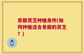 景甜灵芝种植条件(如何种植适合景甜的灵芝？)