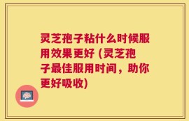 灵芝孢子粘什么时候服用效果更好 (灵芝孢子最佳服用时间，助你更好吸收)