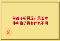 带孢子粉灵芝？灵芝本体和孢子粉有什么不同