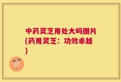 中药灵芝用处大吗图片(药用灵芝：功效卓越)