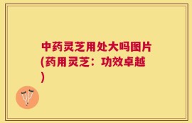中药灵芝用处大吗图片(药用灵芝：功效卓越)
