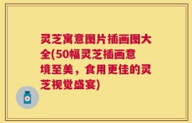 灵芝寓意图片插画图大全(50幅灵芝插画意境至美，食用更佳的灵芝视觉盛宴)