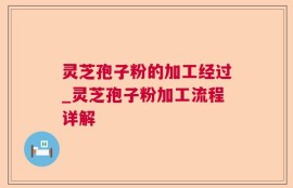 灵芝孢子粉的加工经过_灵芝孢子粉加工流程详解