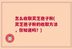 怎么收取灵芝孢子粉(灵芝孢子粉的收取方法，你知道吗？)