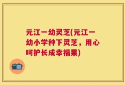 元江一幼灵芝(元江一幼小学种下灵芝，用心呵护长成幸福果)