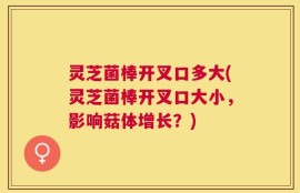 灵芝菌棒开叉口多大(灵芝菌棒开叉口大小，影响菇体增长？)