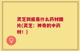 灵芝到底是什么药材图片(灵芝：神奇的中药材！)