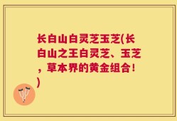 长白山白灵芝玉芝(长白山之王白灵芝、玉芝，草本界的黄金组合！)
