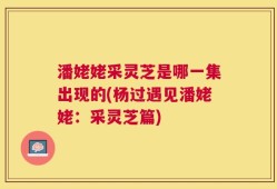 潘姥姥采灵芝是哪一集出现的(杨过遇见潘姥姥：采灵芝篇)
